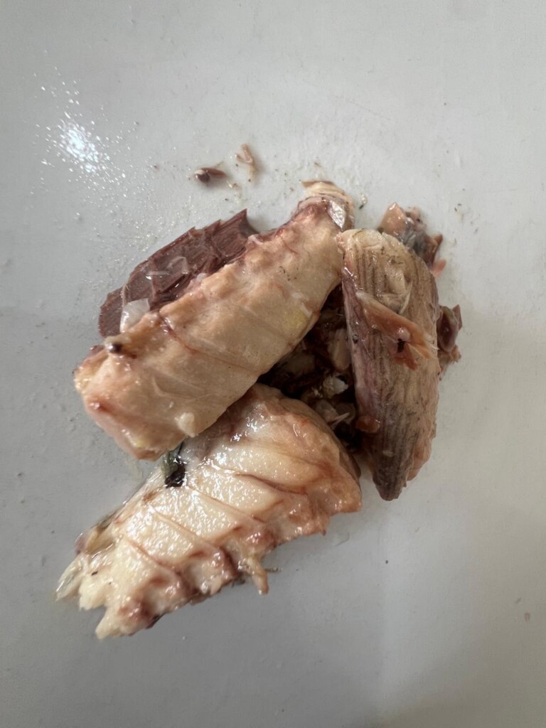 No corresponden a jurel conservas importadas de China