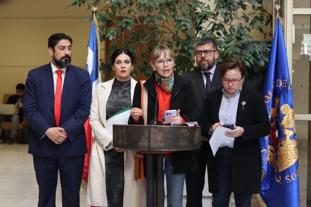 “Usuarios financian multas”: Parlamentarios exigen respuesta al ministro de Energía