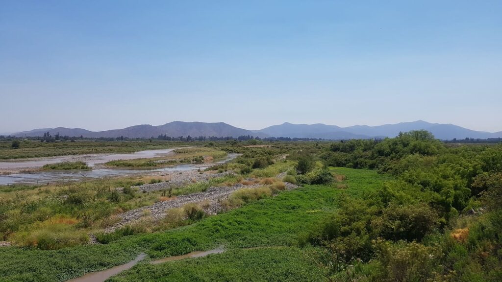 Río Maipo de Melipilla es declarado humedal urbano: el más grande de Chile