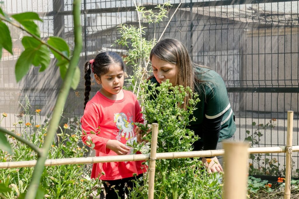 Premio “Mi Patio es el Mundo 2025” busca proyectos sostenibles en la infancia