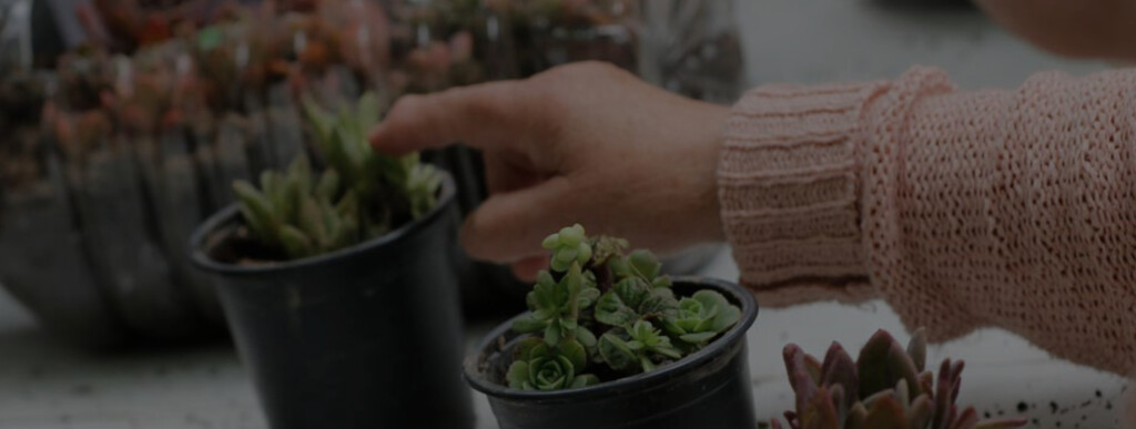 Puente Alto invita a la 1° Feria de Jardinería en el Pueblito de Las Vizcachas