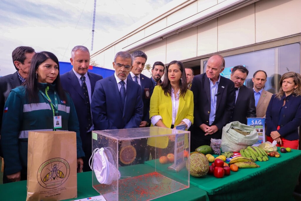 Gobierno lanza plan “No a la mosca de la fruta: Chile exporta confianza”