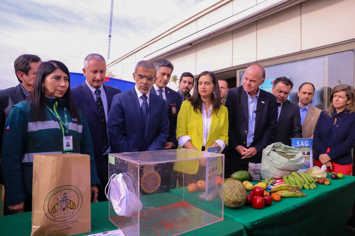 Gobierno lanza plan “No a la mosca de la fruta: Chile exporta confianza”