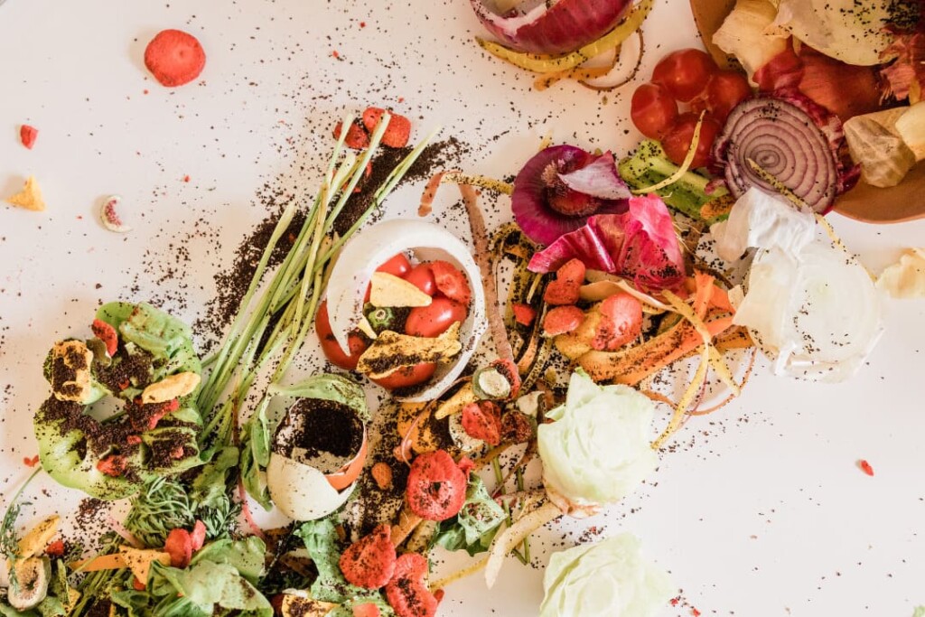 Chile desperdicia 2,5 millones de toneladas de alimentos al año