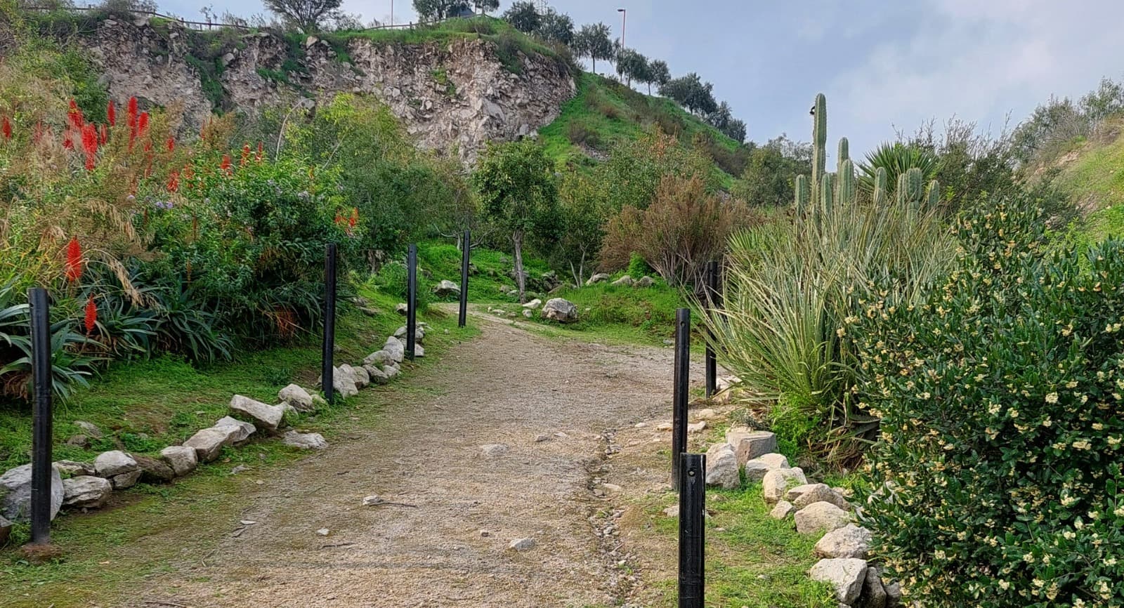 Fundación Fénika te invita a vivir el “Día de los Cerros 2025”