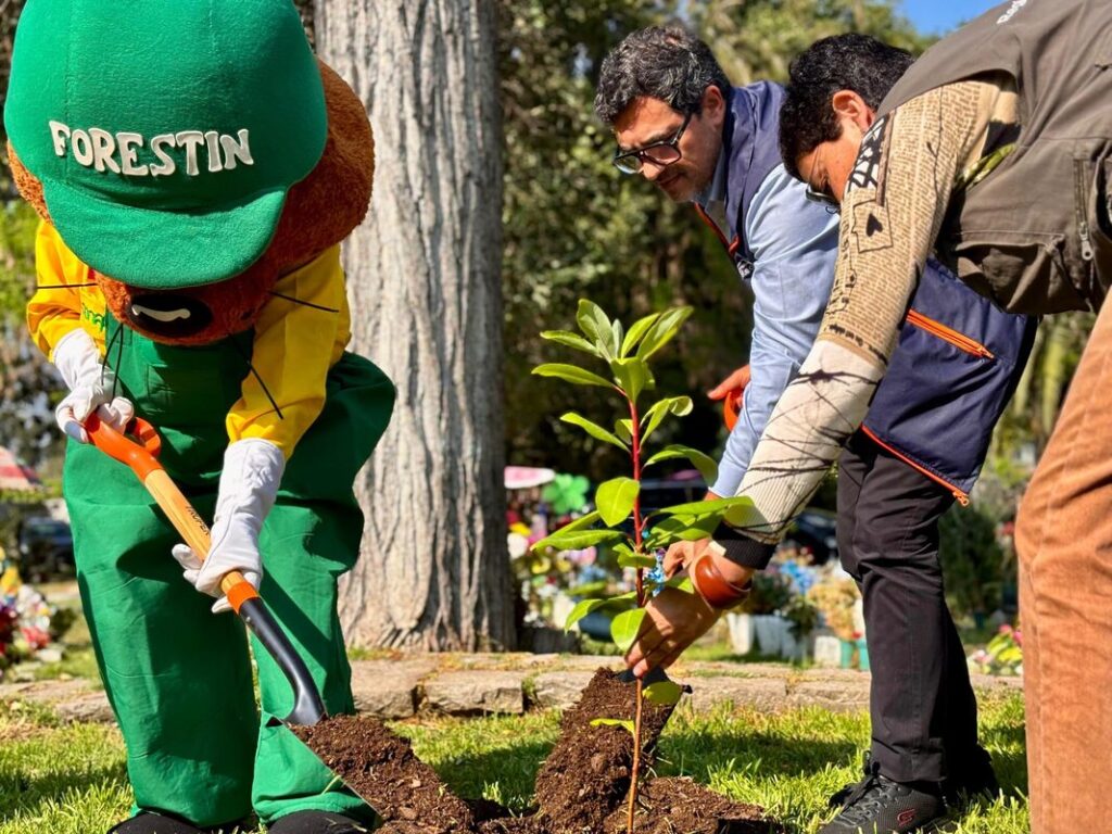 Recoleta: primer BioCementerio público de Latinoamérica