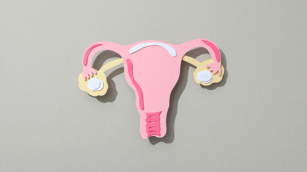 Cáncer de Cuello Uterino en Chile: los desafíos para eliminar la segunda causa de muerte por cáncer en mujeres