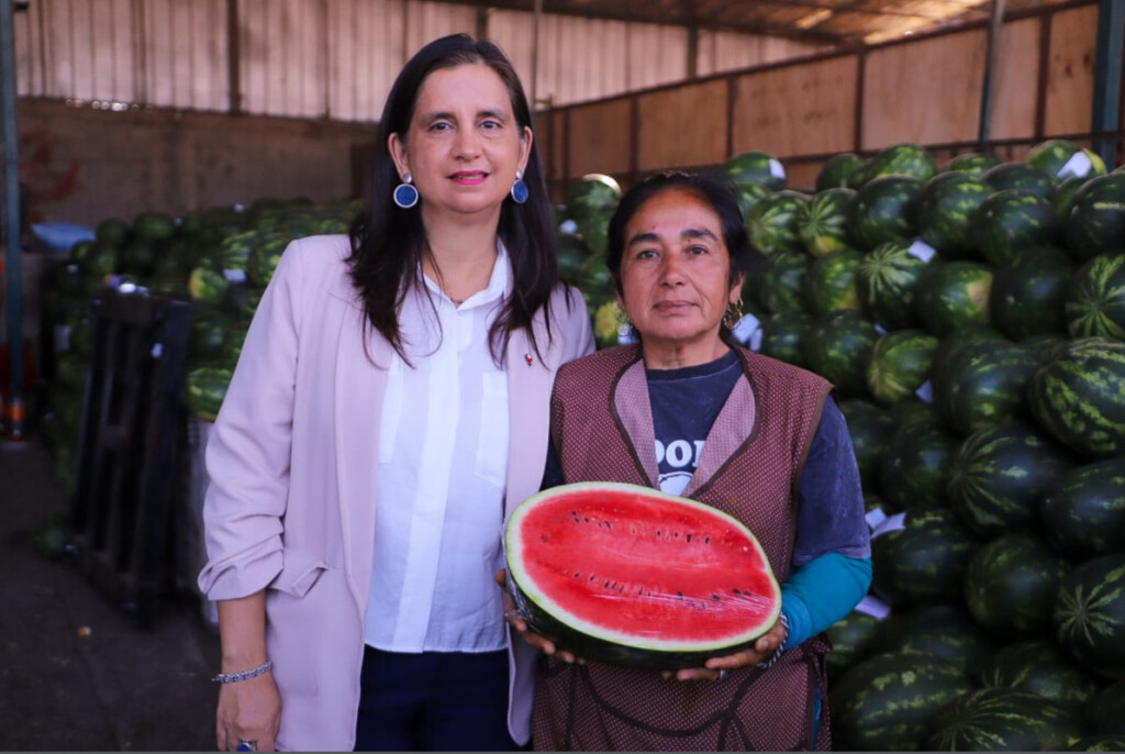 Ministra de Agricultura destaca avances del SAG en la fiscalización y control del ingreso ilegal de productos silvoagropecuarios en Arica
