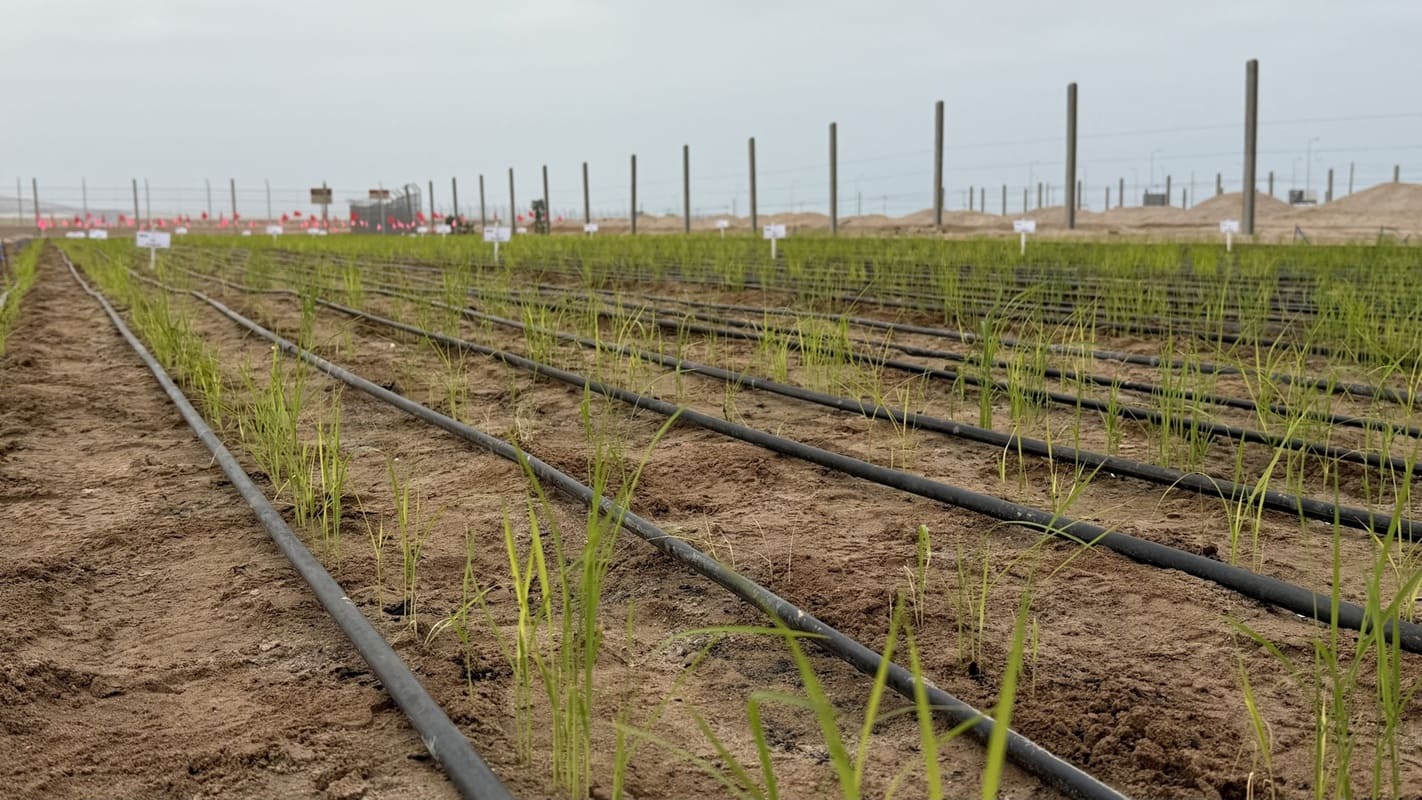Cambio Climático en Chile: menos fronteras naturales y nuevos desafíos para la agricultura