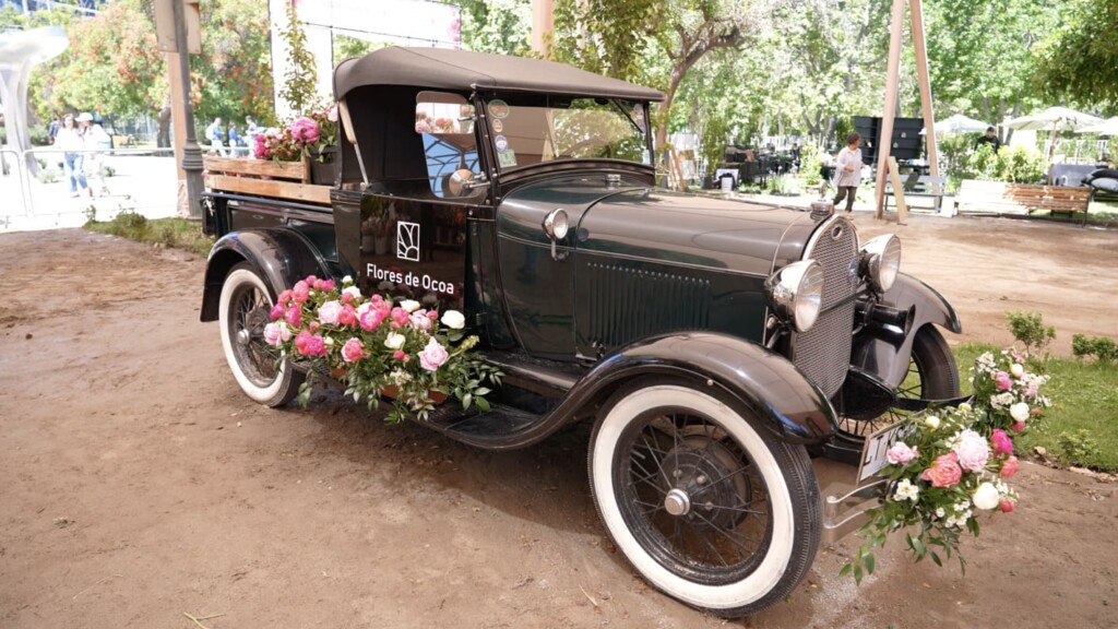 Festival de la Rosa 2025: tres días para celebrar la primavera en el Parque Araucano