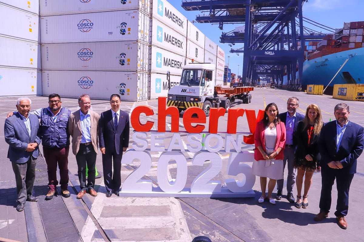 Chile inicia temporada de cerezas con récord de servicios directos a Asia