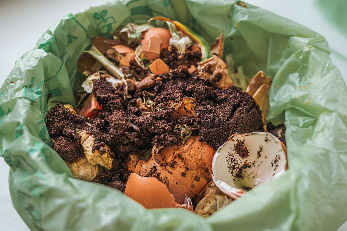 Chile impulsa campaña para promover el reciclaje de residuos orgánicos