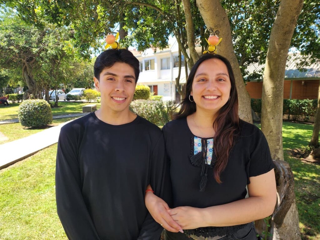 Estudiantes de la USM desarrollan AuraBee con IA que detecta la abeja reina sin abrir la colmena