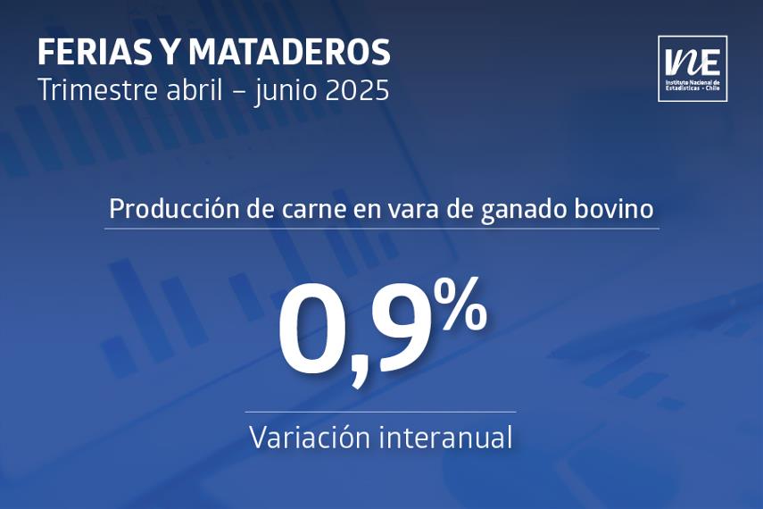 Producción de carne bovina aumenta 0,9% en el tercer trimestre de 2025
