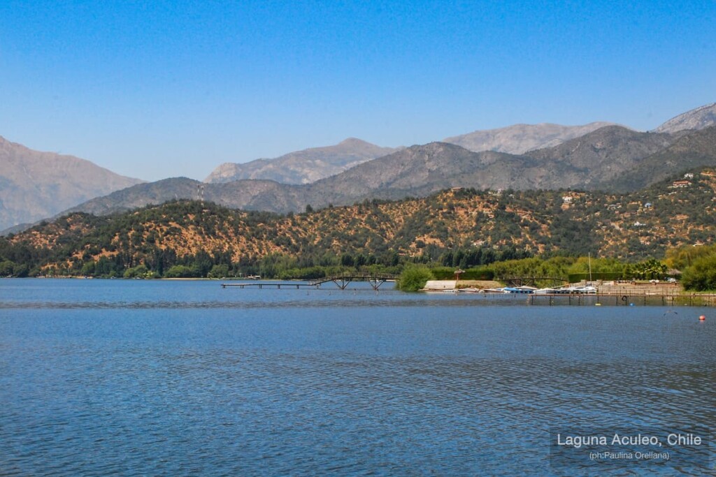 Greenpeace valora protección de la Laguna de Aculeo como humedal urbano: “Es una gran noticia para la biodiversidad”