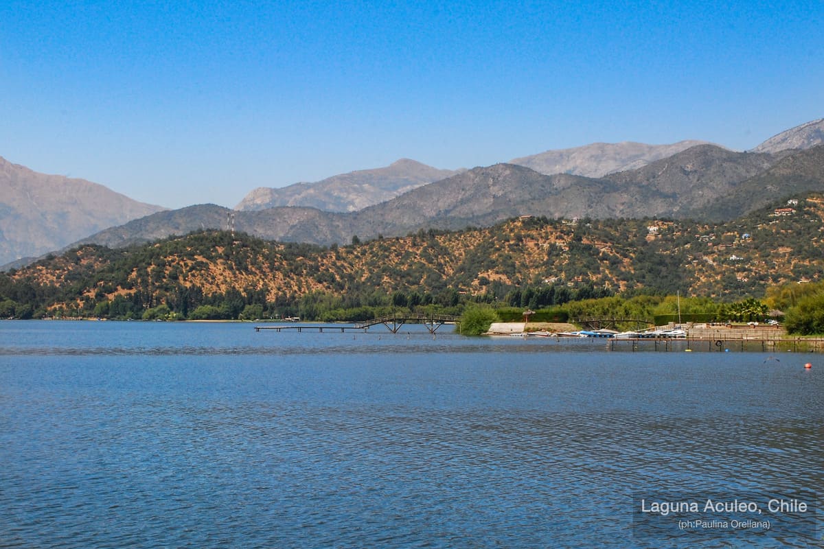 Greenpeace valora protección de la Laguna de Aculeo como humedal urbano: “Es una gran noticia para la biodiversidad”
