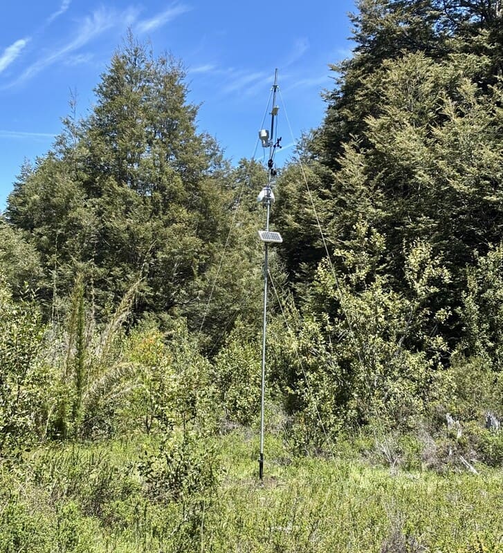 UCSC instala moderna estación meteorológica para medir compuestos orgánicos volátiles biogénicos en el Parque Conguillío