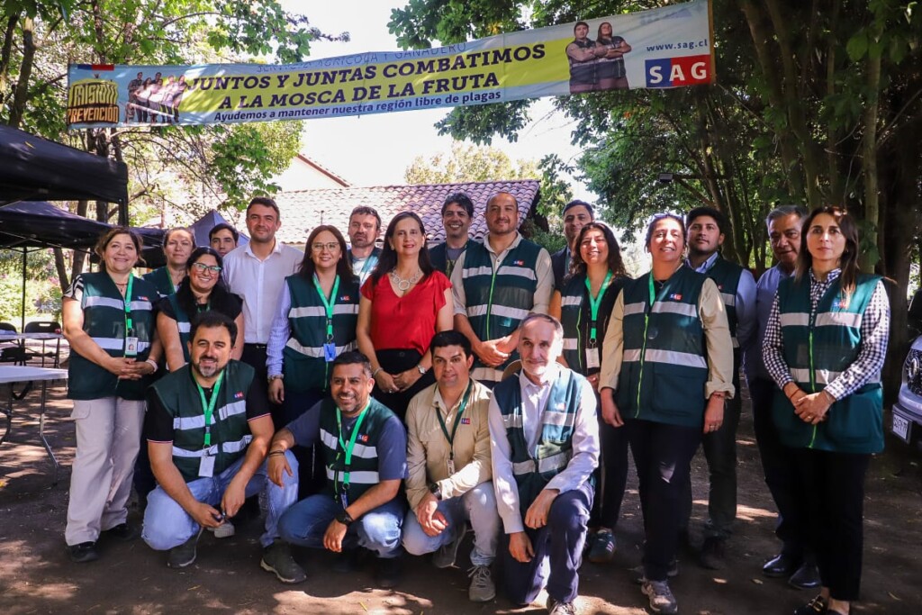 Ministerio de Agricultura anuncia inminente erradicación de la mosca de la fruta en Malloa