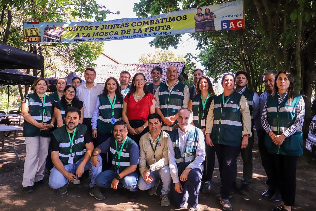 Ministerio de Agricultura anuncia inminente erradicación de la mosca de la fruta en Malloa