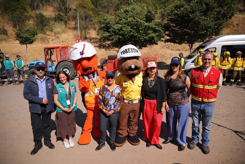 Gobierno impulsa plan histórico de casi 5.000 km de cortafuegos para prevenir incendios forestales en todo Chile