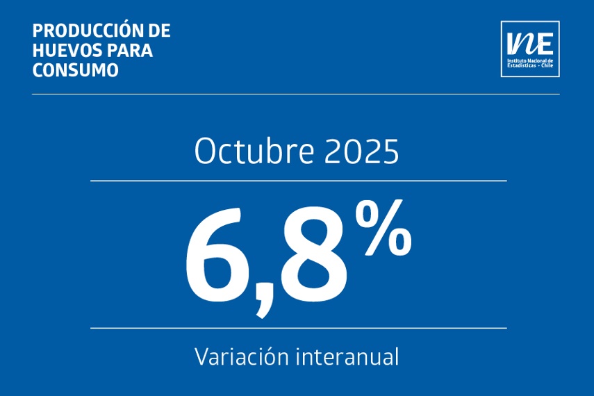 Producción de huevos en Chile aumenta 6,8% interanual en octubre de 2025