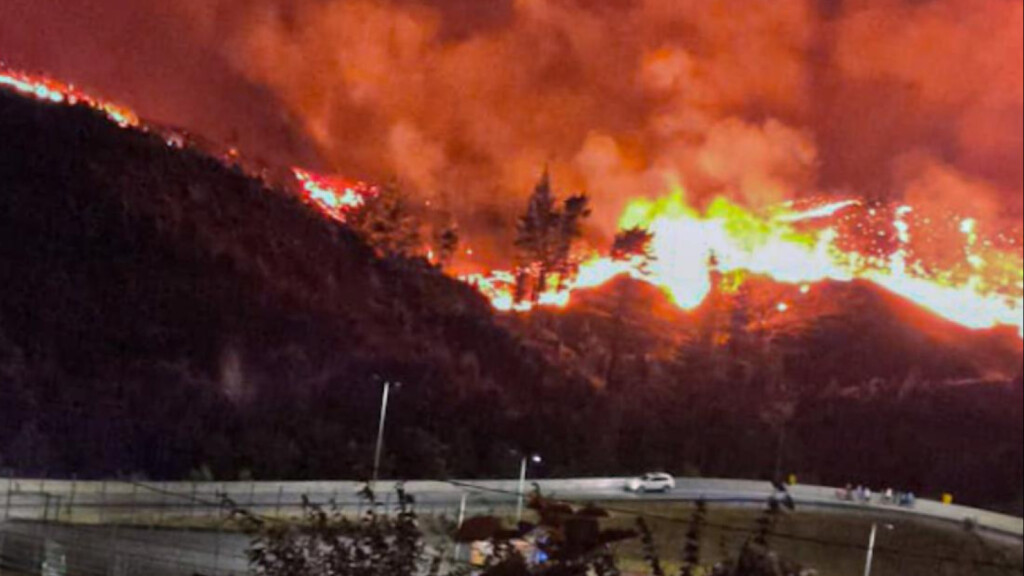 Incendios forestales en la Región del Biobío: devastación, evacuaciones y estado de catástrofe nacional