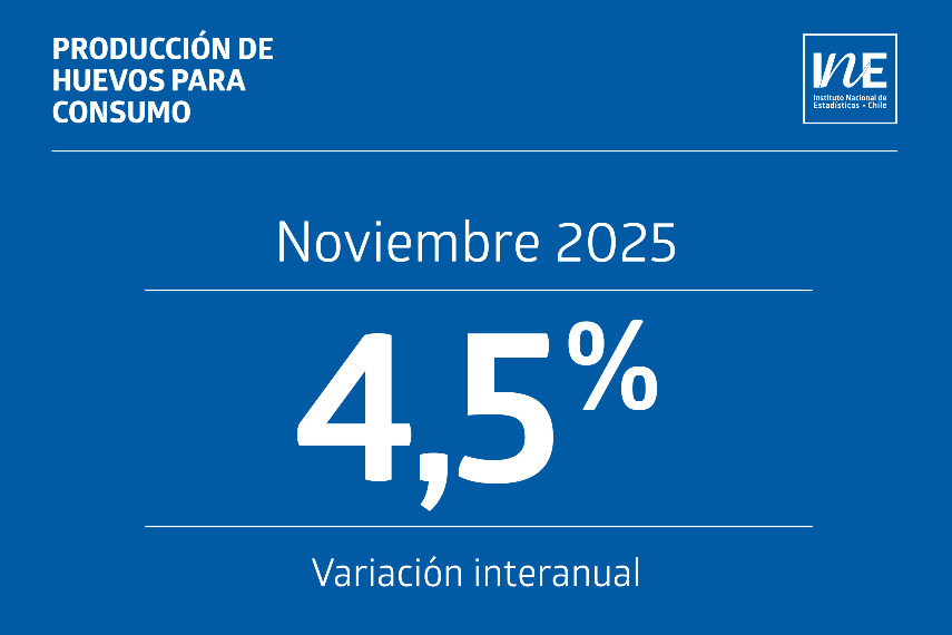 Producción de huevos en Chile crece 4,5% interanual en noviembre de 2025, según INE