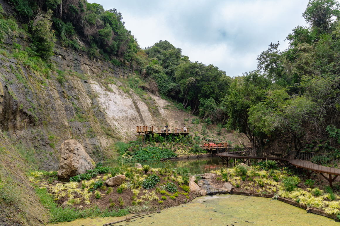 “El Milagro”, un oasis natural para disfrutar este verano en Parque Tricao