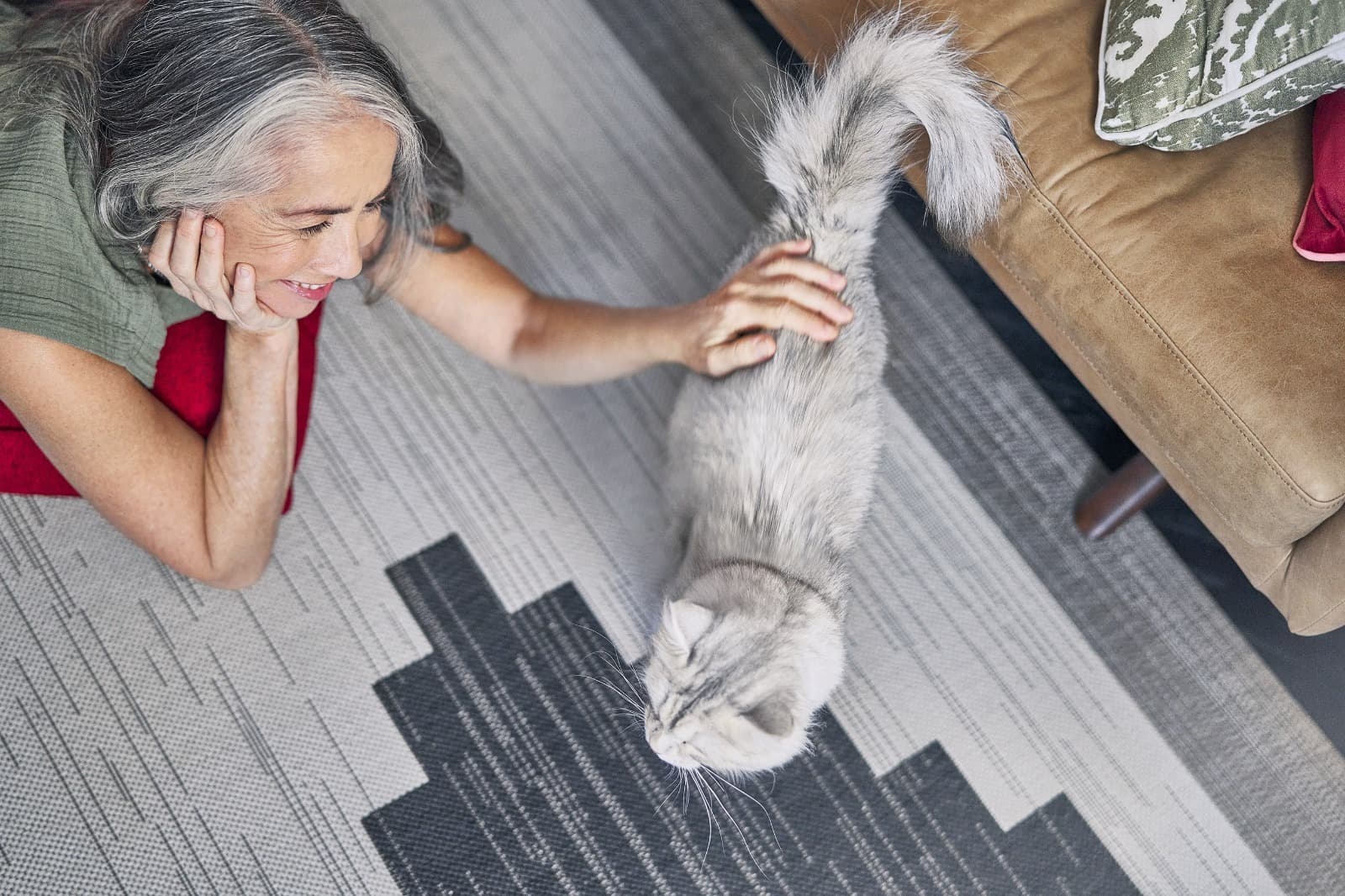 Vacaciones y adopción responsable