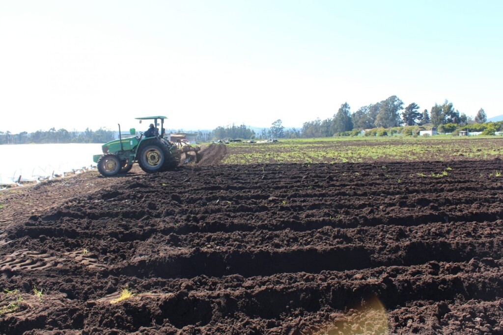 El Ejecutivo impulsa una Ley Marco de Suelos para enfrentar la degradación ambiental, proteger la biodiversidad y asegurar la sostenibilidad productiva del país