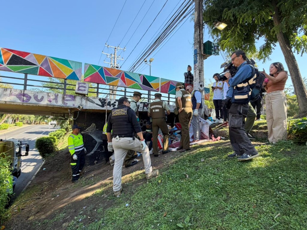 Entregan balance de operativos de recuperación de espacios en Ñuñoa con más de 400 intervenciones