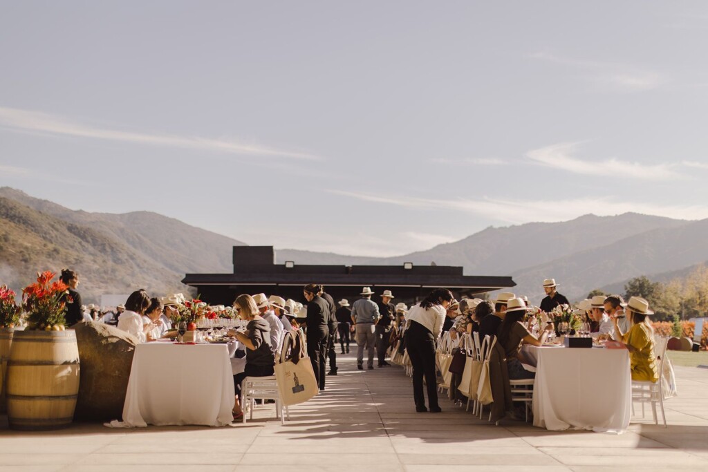 VIK celebra su Fiesta de la Vendimia 2026: la primera edición tras ser elegida la viña número uno del mundo