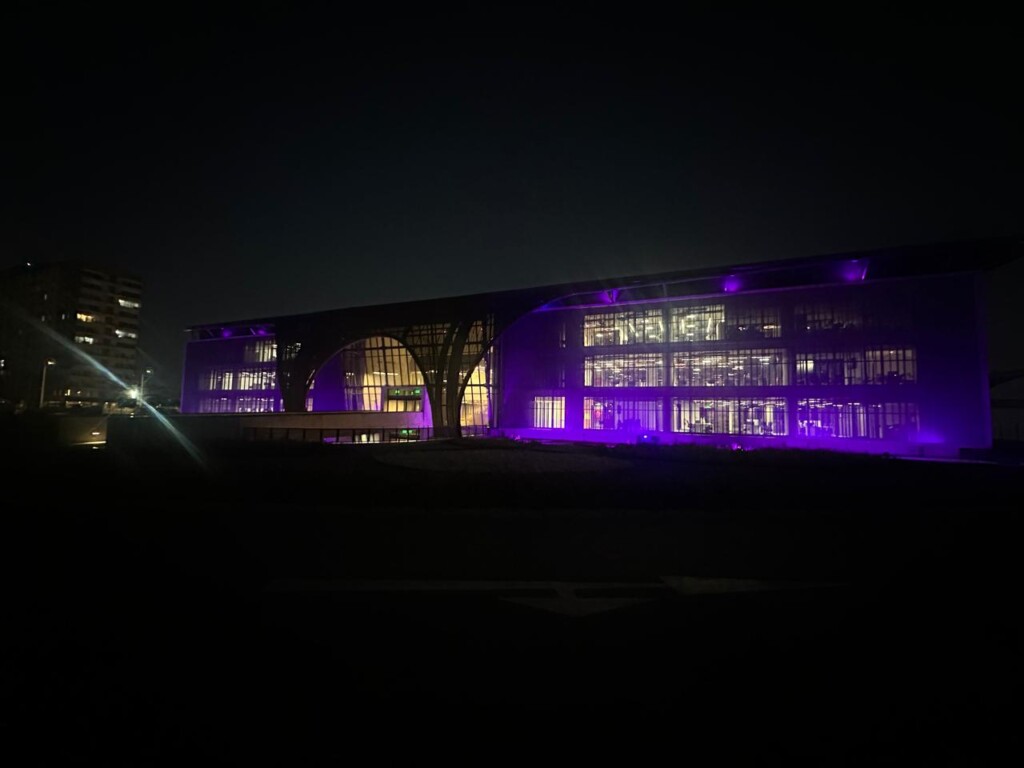 Fuerza Aérea de Chile se une a conmemoración del Día Púrpura por la Epilepsia