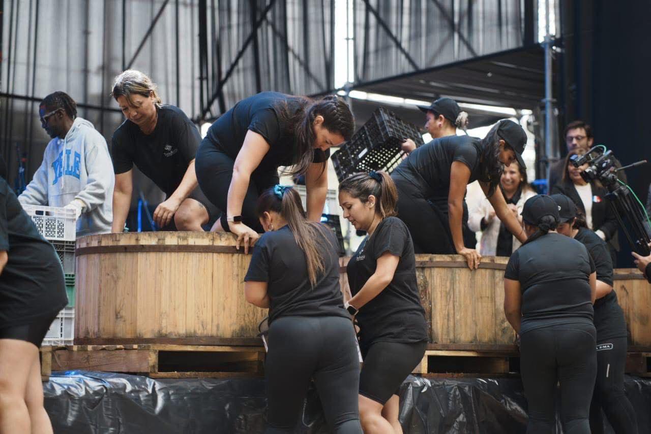 [En vivo] Isla de Maipo vive su Fiesta de la Vendimia 2026 con masiva participación