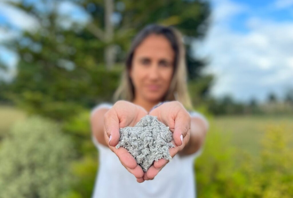 Región de Los Lagos avanza hacia la construcción sostenible y circular con webinar de interés para emprendedores locales