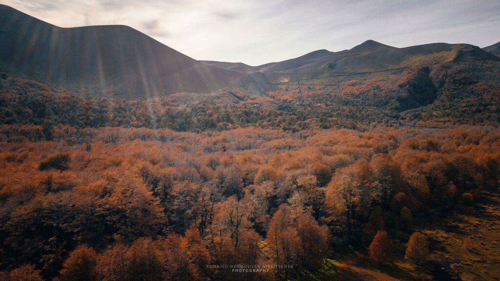 Otoño en el sur de Chile: los parques y bosques que deslumbran con el paisaje más impactante de la temporada