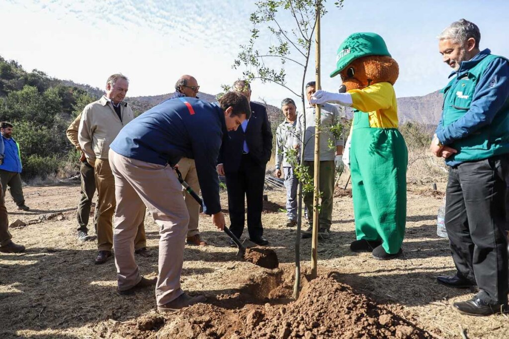 CONAF dona 100 árboles nativos para recuperar Parque Natural San Carlos de Apoquindo