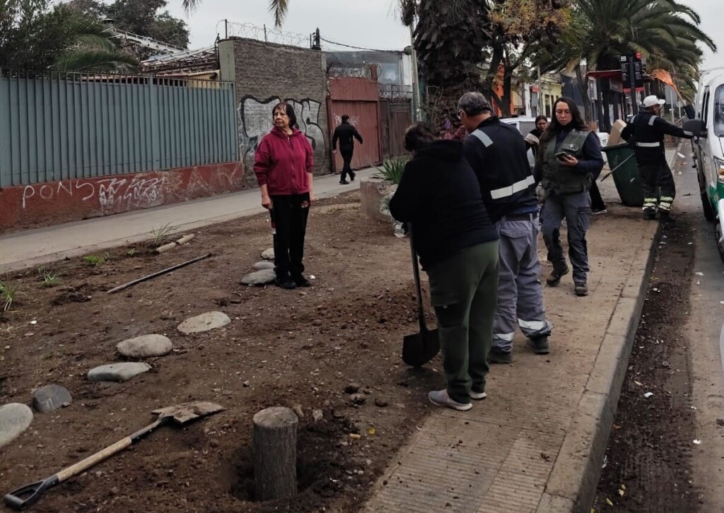 Recoleta impulsa jardines sustentables y plantará 250 árboles