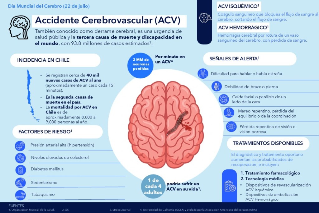Día Mundial del Cerebro: actuar a tiempo puede evitar graves secuelas por un ACV