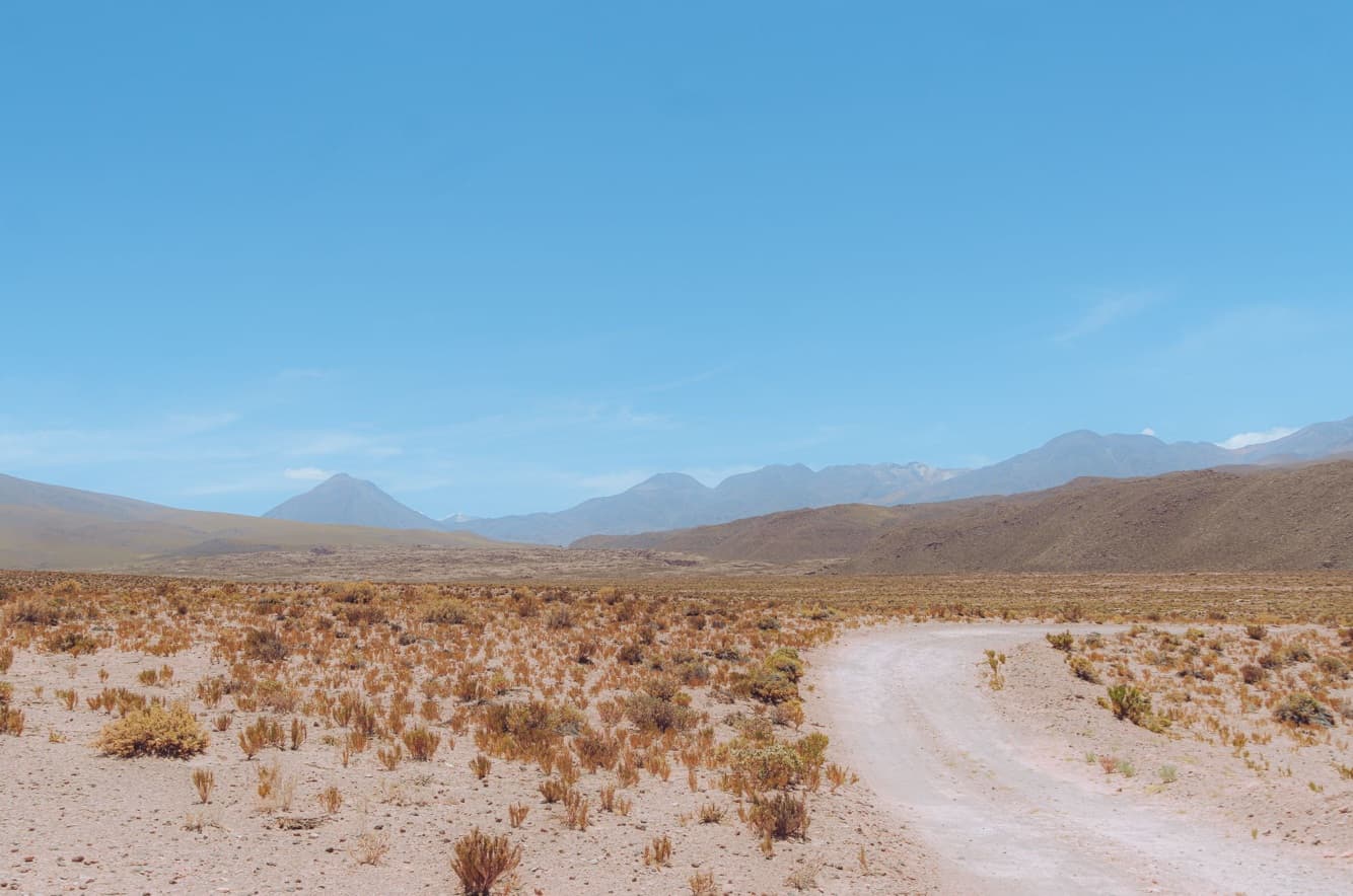 Agricultura en el desierto de Chile: Tecnologías de nutrición vegetal que ayudan a mejorar su rendimiento