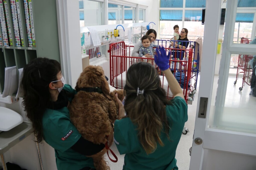 Dogtores llenan de alegría el Hospital Roberto del Río