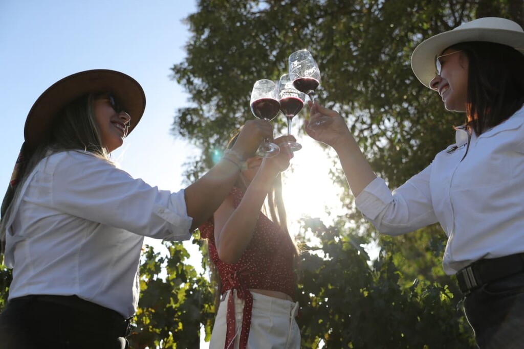 Santiago será sede de The World’s 50 Best Vineyards 2026
