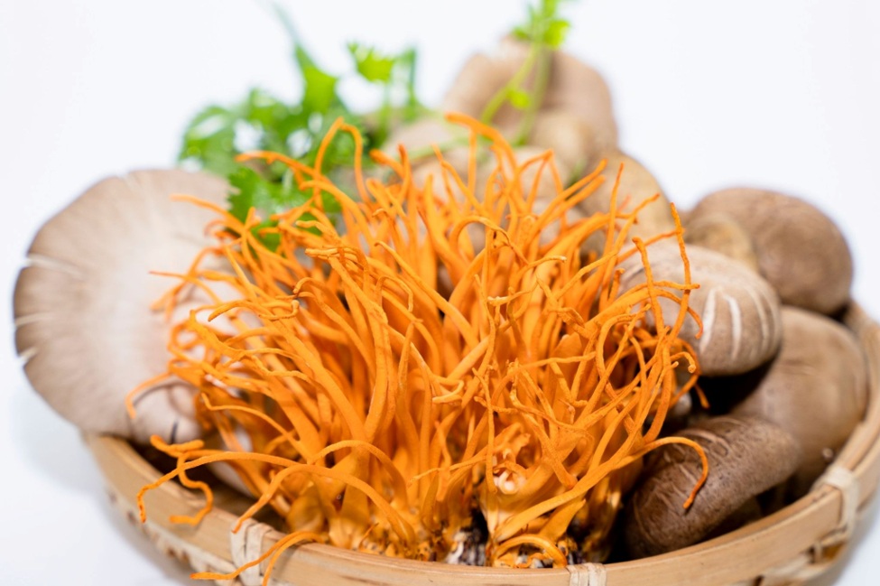 Cordyceps para hacer deporte: energía natural sin cafeína
