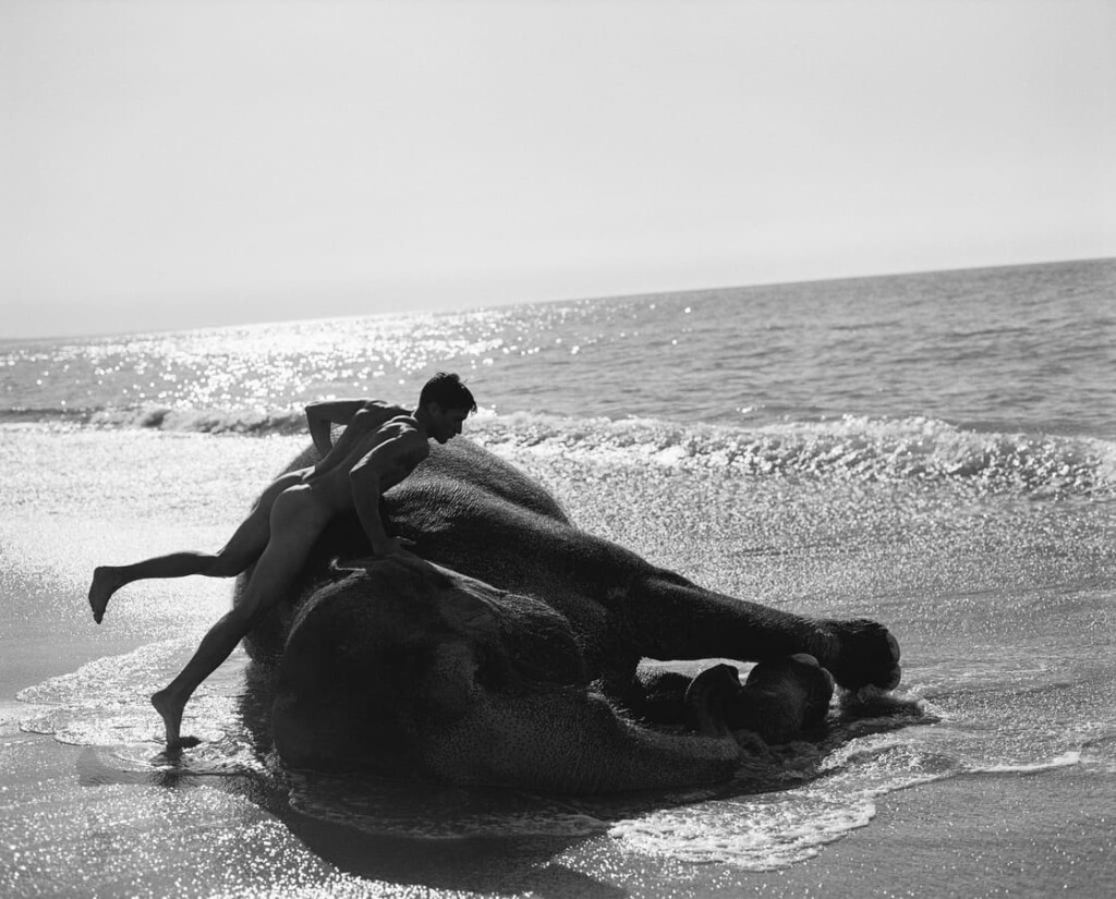 Bruce Weber llega por primera vez a Latinoamérica con muestra en Chile