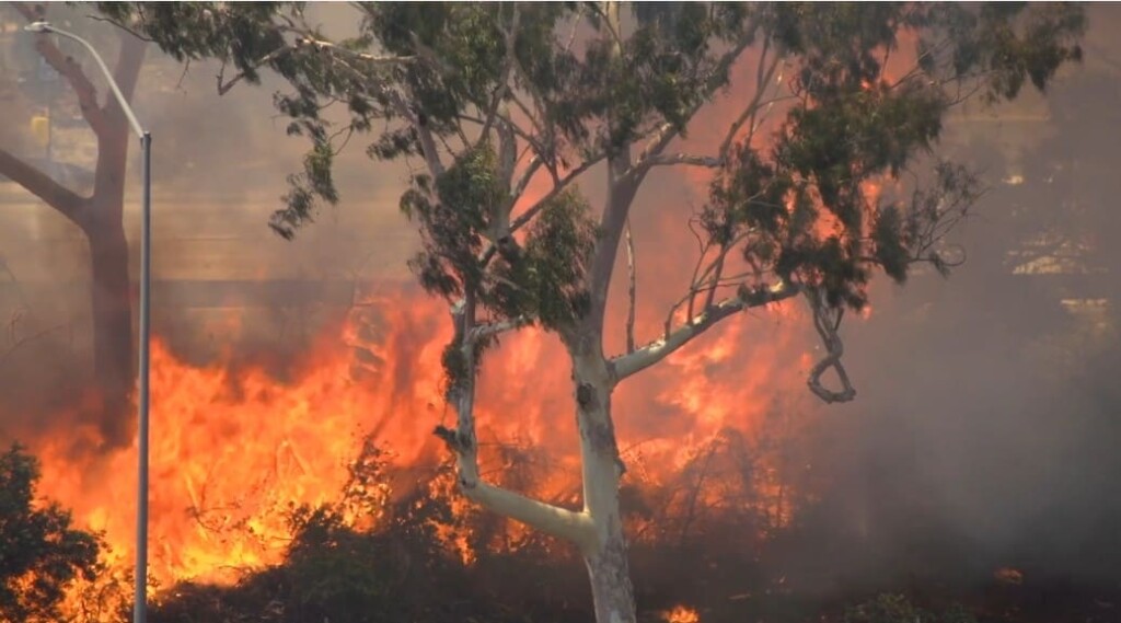 USM estudia cómo el calor de los incendios afecta las viviendas
